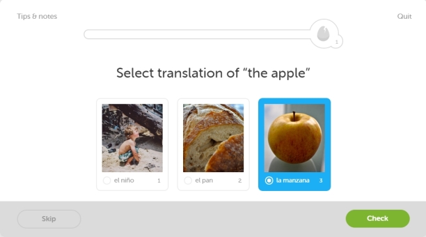 One exercise includes translation while using pictures. The user identifies the English word with its picture and language translation.